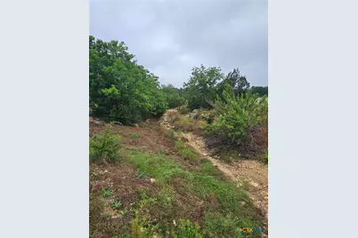 Lot 14 Cielo Springs Drive, Blanco, TX 78606 - Photo 3