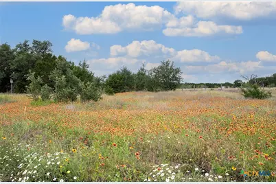 7075 Rr 1869, Liberty Hill, TX 78642 - Photo 27