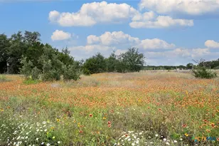 7075 Rr 1869, Liberty Hill, TX 78642 - Photo 27