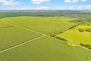 1373 County Rd 444, Louise, TX 77455 - Photo 5
