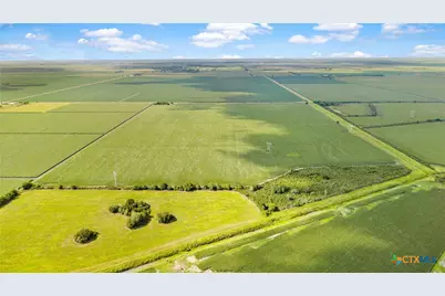 1373 County Road 444, Louise, TX 77455 - Photo 7