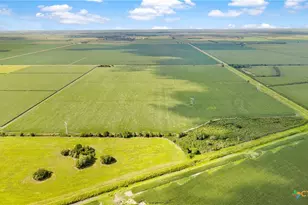 1373 County Rd 444, Louise, TX 77455 - Photo 7