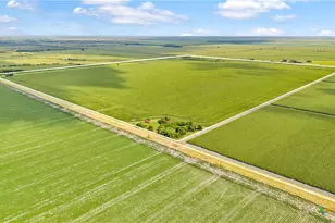 1373 County Rd 444, Louise, TX 77455 - Photo 9