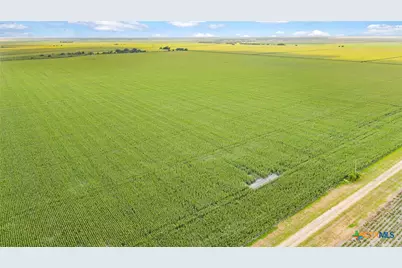 1373 County Road 444, Louise, TX 77455 - Photo 3