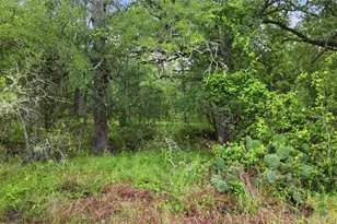 11615 Kingsbury Rd, Kingsbury, TX 78638 - Photo 35