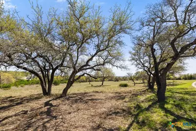 Lot 19 Stone Ridge Mountain Drive, Round Mountain, TX 78663 - Photo 15