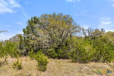 Lot 19 Stone Ridge Mountain Drive, Round Mountain, TX 78663 - Photo 19