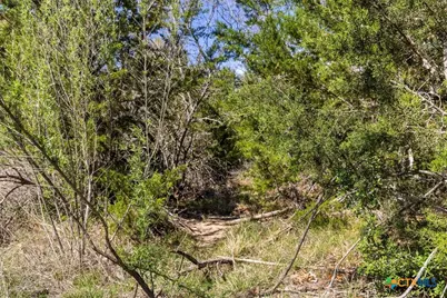 Lot 19 Stone Ridge Mountain Drive, Round Mountain, TX 78663 - Photo 25