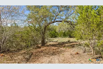 Lot 19 Stone Ridge Mountain Drive, Round Mountain, TX 78663 - Photo 9