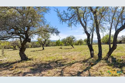 Lot 19 Stone Ridge Mountain Drive, Round Mountain, TX 78663 - Photo 1