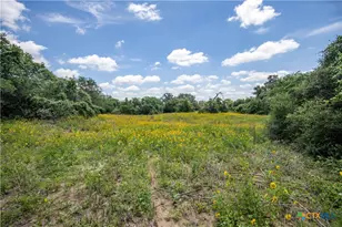9393 US Hwy 87, Westhoff, TX 77994 - Photo 19