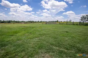 9393 US Hwy 87, Westhoff, TX 77994 - Photo 17
