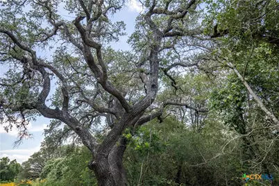 9393 US Highway 87, Westhoff, TX 77994 - Photo 21