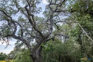 9393 US Hwy 87, Westhoff, TX 77994 - Photo 21