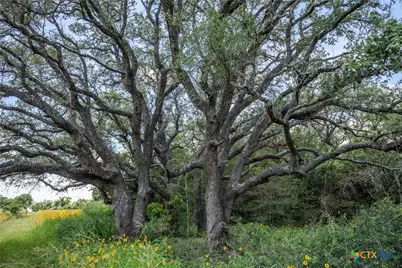 9393 US Highway 87, Westhoff, TX 77994 - Photo 23