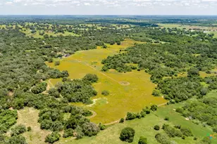 9393 US Hwy 87, Westhoff, TX 77994 - Photo 3