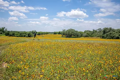 9393 US Highway 87, Westhoff, TX 77994 - Photo 27