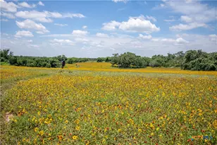 9393 US Hwy 87, Westhoff, TX 77994 - Photo 27