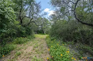 9393 US Hwy 87, Westhoff, TX 77994 - Photo 19