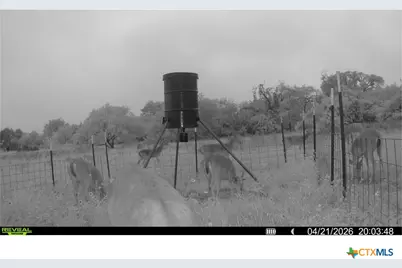 9393 US Highway 87, Westhoff, TX 77994 - Photo 11