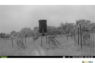 9393 US Hwy 87, Westhoff, TX 77994 - Photo 11