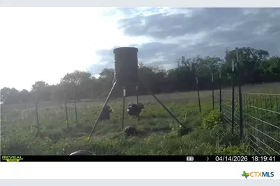 9393 US Highway 87, Westhoff, TX 77994 - Photo 9