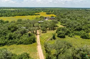 9393 US Hwy 87, Westhoff, TX 77994 - Photo 5