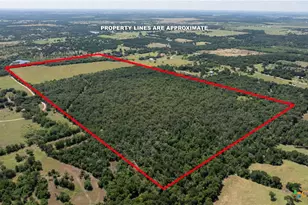 1717 County Rd 402, Bartlett, TX 76511 - Photo 7