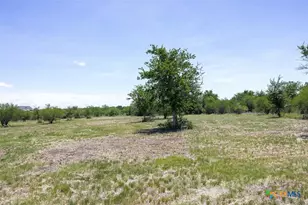 3710 Dry Creek Rd, Lockhart, TX 78644 - Photo 13