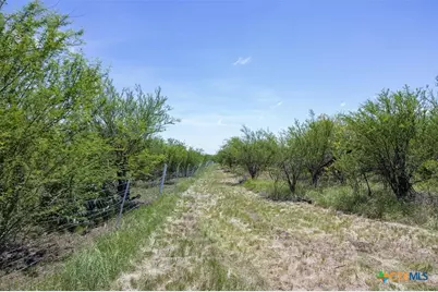 3710 Dry Creek Road, Lockhart, TX 78644 - Photo 17