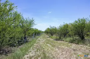 3710 Dry Creek Rd, Lockhart, TX 78644 - Photo 17