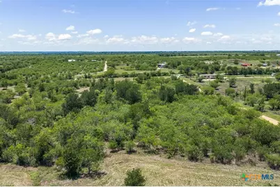 3710 Dry Creek Road, Lockhart, TX 78644 - Photo 19