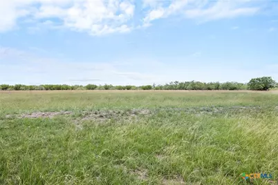 1190 Dickerson Road, Lockhart, TX 78644 - Photo 13