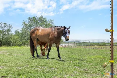 1190 Dickerson Road, Lockhart, TX 78644 - Photo 11