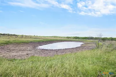 1190 Dickerson Road, Lockhart, TX 78644 - Photo 21