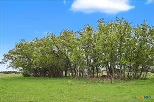 1312 Fm 581 Hwy, Lometa, TX 76853 - Photo 37