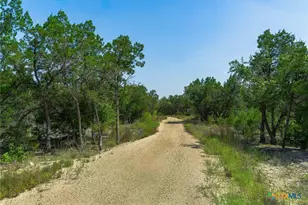 11916 Jim Bridger Dr, Austin, TX 78737 - Photo 7