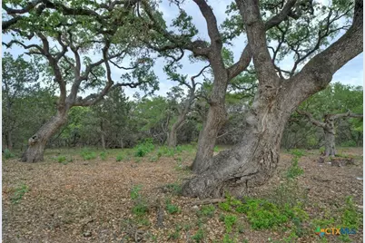 11916 Jim Bridger Drive, Austin, TX 78737 - Photo 21