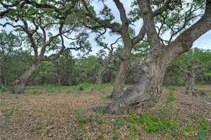 11916 Jim Bridger Dr, Austin, TX 78737 - Photo 21