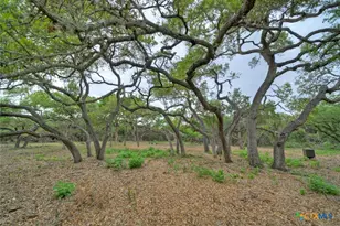 11916 Jim Bridger Dr, Austin, TX 78737 - Photo 21