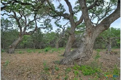 11916 Jim Bridger Drive, Austin, TX 78737 - Photo 25