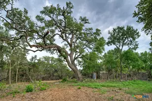 11916 Jim Bridger Dr, Austin, TX 78737 - Photo 29