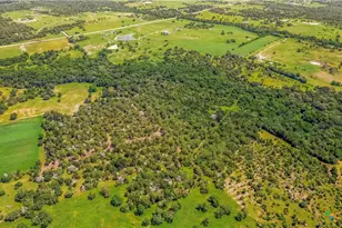 337 Private Rd 1015, Hallettsville, TX 77964 - Photo 3