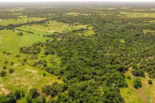 337 Private Rd 1015, Hallettsville, TX 77964 - Photo 17