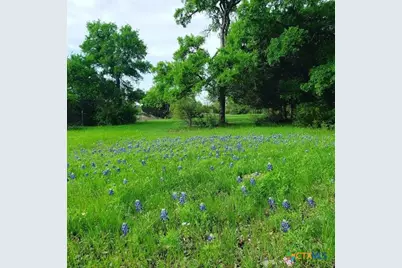 373 Winding River Road, Kempner, TX 76549 - Photo 5