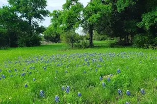 373 Winding River Rd, Kempner, TX 76549 - Photo 5