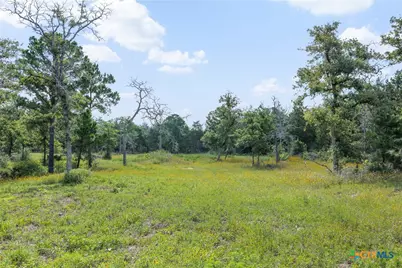 305 Cistern Road, Rosanky, TX 78953 - Photo 5