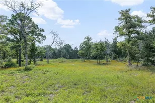 305 Cistern Rd, Rosanky, TX 78953 - Photo 5