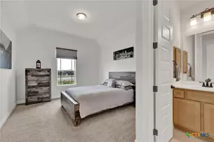 10696 Chestnut Warbler, New Braunfels, TX 78132 - Photo 33