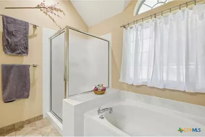 213 Rio Vista Drive, Georgetown, TX 78626 - Photo 19